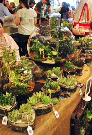 BadaBing Terrarium af Rich