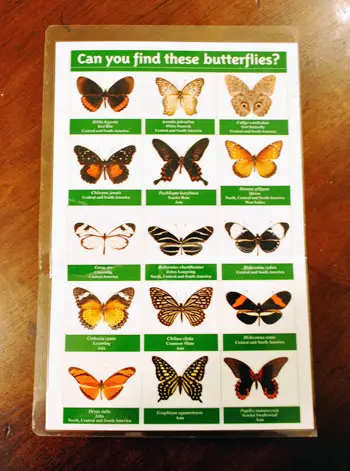 Originalni list Butterflies