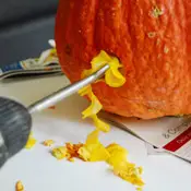 Calabazas de serpiente navideñas del proyecto