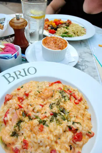 Comida cuatro brio