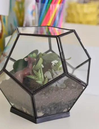 Terrarium 3