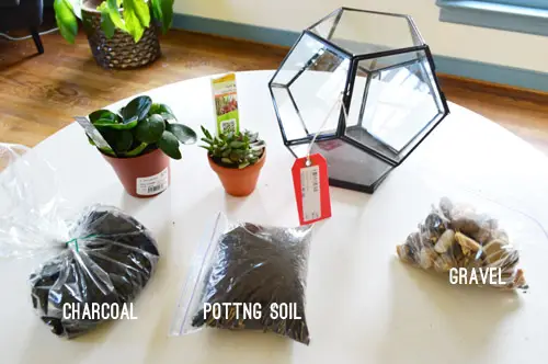 Matériaux pour terrariums