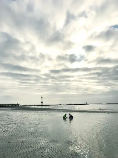 Beach House Keuken Spelen In Water