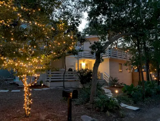 Albero Esterno Con Luci Di Natale Di Fronte Alla Casa Bianca