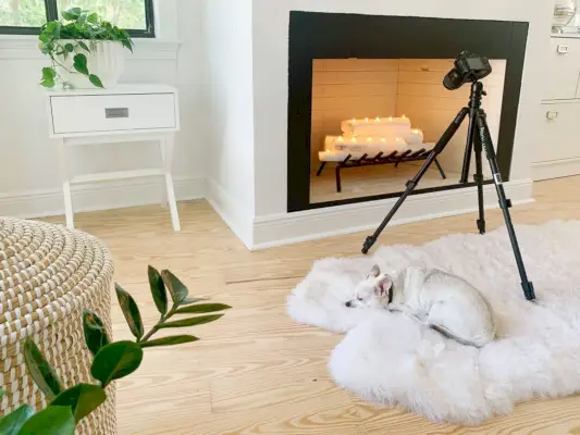 Fotocamera su treppiede impostata per scattare foto del camino con chihuahua che dorme sul tappeto di pelliccia sottostante