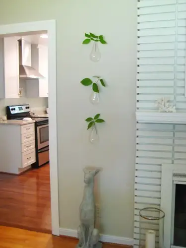 Quelques légumes verts frais pour nos vases flottants