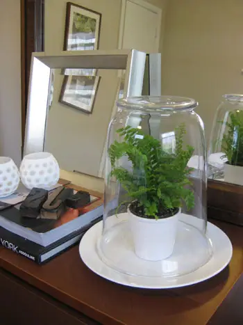 simple-terrarioum-tutorial-how-to-diy-project