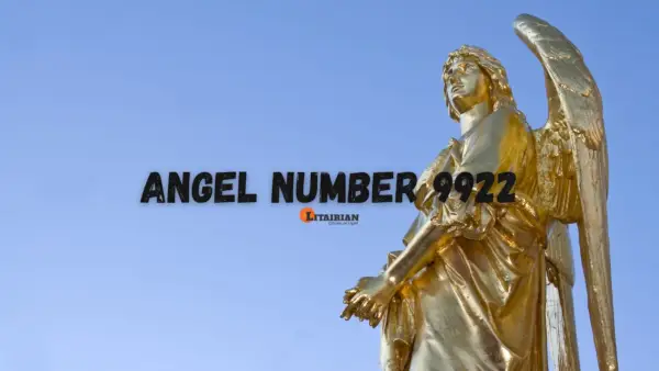 Anjo Número 9922 Significado e importância