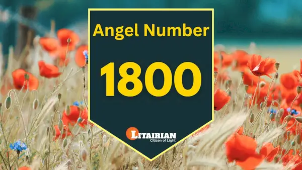 Significado e importância do anjo número 1800