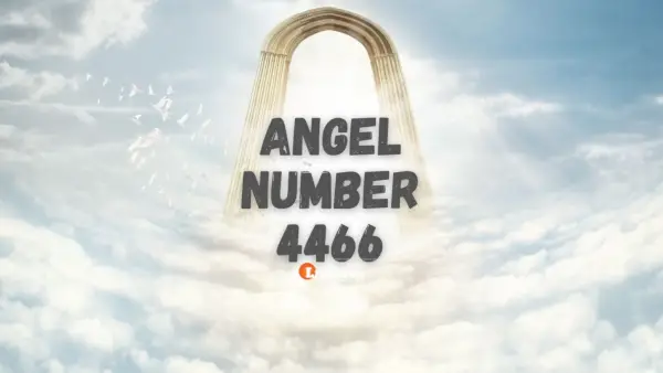 Angelo numerio 4466 prasmė ir reikšmė