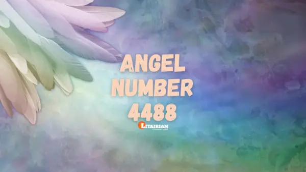 Significado y significado del número de ángel 4488