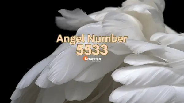 Significado y significado del número de ángel 5533