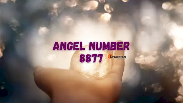 Anjo Número 8877 Significado e importância