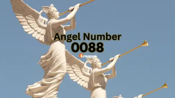 Anjo Número 0088 Significado e importância