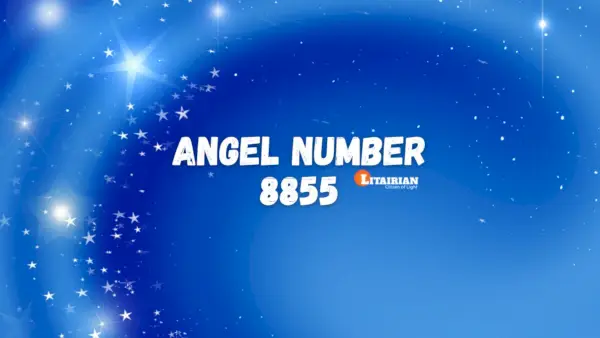 Significado e importância do anjo número 8855