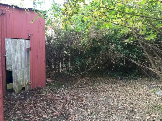 Cour arrière de la maison de plage avant d'être dégagée avec hangar