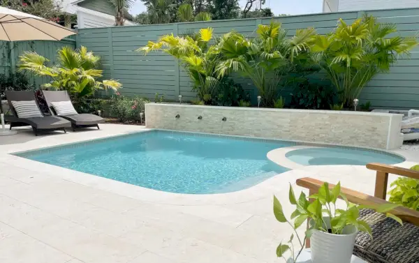 Pequeña piscina en el patio trasero con borde curvo y plantas de palma detrás del muro de contención