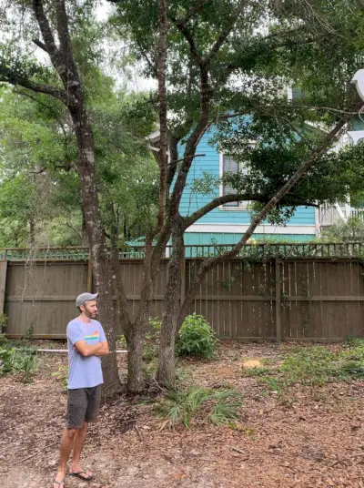 Esterno della casa in Florida dopo John By Backyard Tree 1