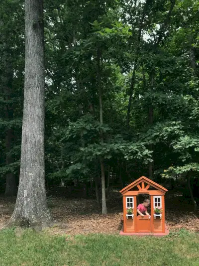 scoperte nel cortile casetta in legno di cedro accanto al grande albero