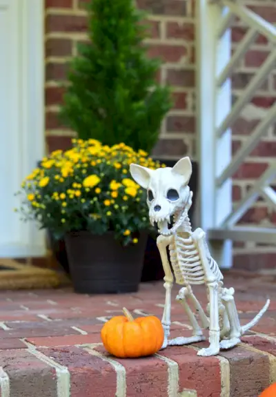 Halloween Porch Chihuahua Hunde Skelet Decor