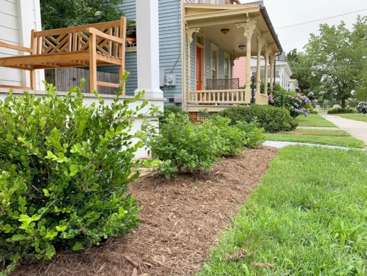 Duplex Front Landscaped Close Up Horizontal Bushes