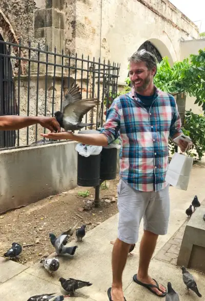 Comida de pombo Old San Juan em Porto Rico