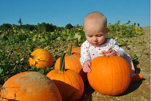 Pumpkin Hands Patch