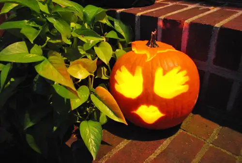 Le mani di zucca fatte illuminate