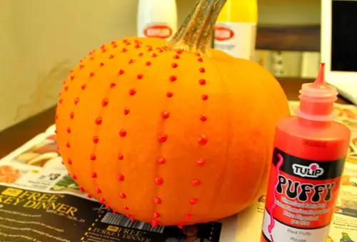 Pumpkin Studded 3