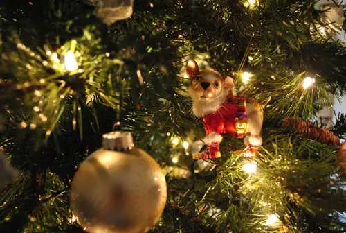 Tree Chihuahua Ornament