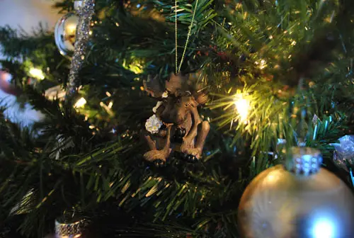 Baum-Elch-Ornament