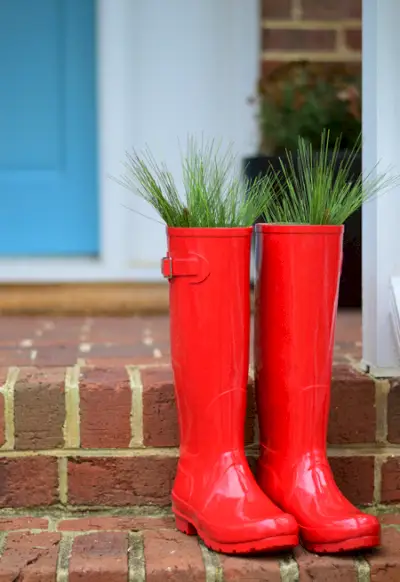 Botas de árvore com abeto