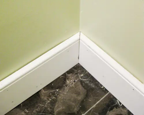 Trim Floor Corner