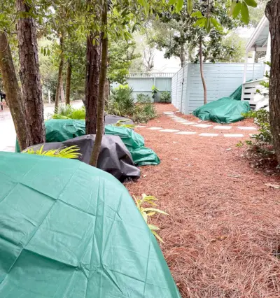 Venkovní rostliny pokryté mrazovými přikrývkami během mrazové události na Floridě