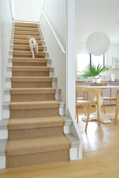 Chien Chihuahua courant dans un escalier avec un tapis en sisal