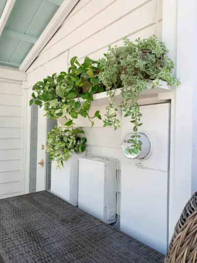 Vista mais próxima da prateleira de plantas com folhagem cobrindo caixas de painel elétrico pintadas de branco