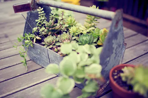 Caja de herramientas para rehacer jardín