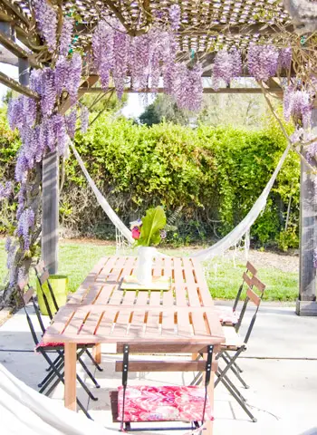 Wisteria Pergola