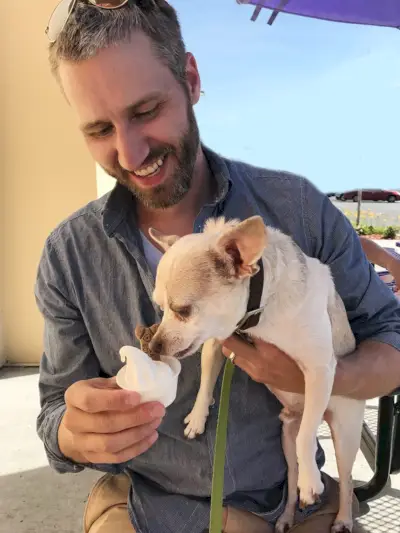 Tasse de chiot de crème glacée léchant un hamburger à John