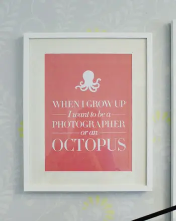 Подаръци Octopus Close