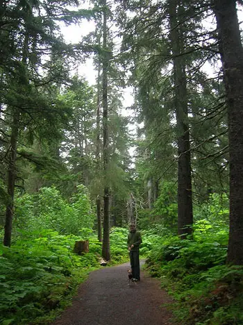 Aljaska-medeni tedni-slika-6