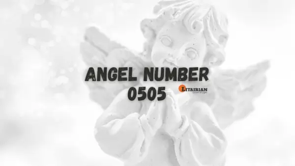 Significado y significado del número de ángel 0505