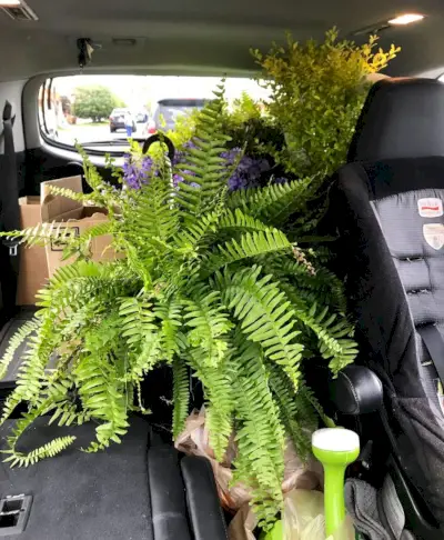 Strandhaus-Landschaftsgestaltung im Auto