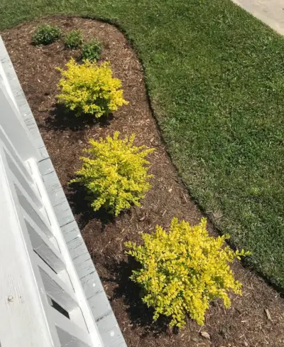 Beach House Landscape Bed Overhead