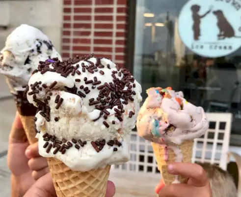 coni gelato al gelato per cani marrone a Cape Charles Virginia