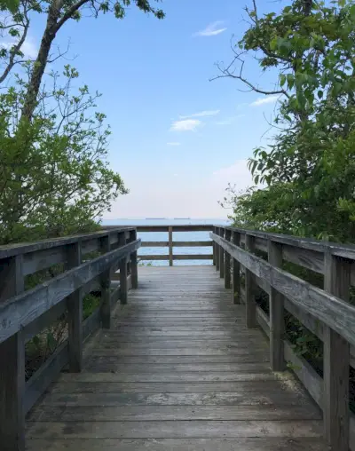 boardwalk vandretur i Cape Charles naturreservat