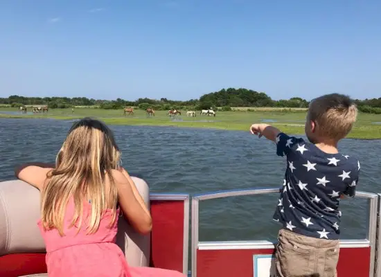 pôneis selvagens de Chincoteague vistos de um barco com crianças