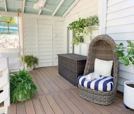 Vue complète du porche couvert avec des plantes partout et un chien dormant dans une chaise à œufs