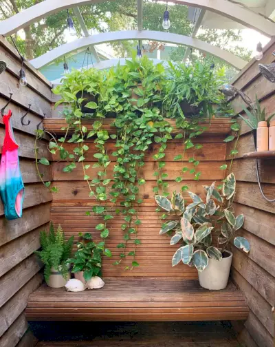 Douche extérieure à lattes en bois avec plantes suspendues en cascade