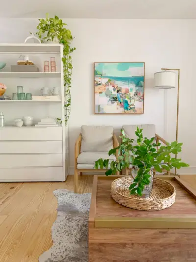 Vista lateral da área de estar com plantas na mesa de centro e penduradas na prateleira da cozinha